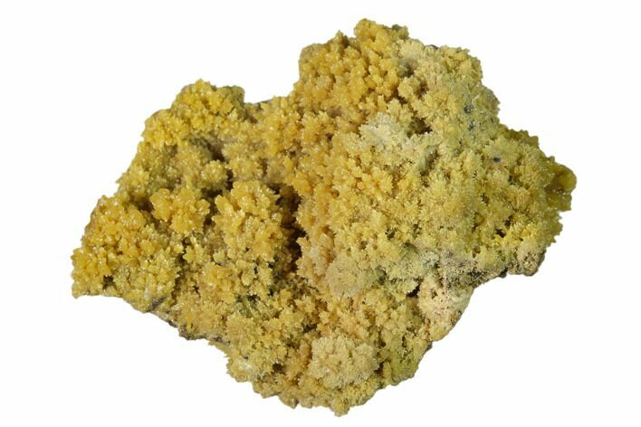 Mimetite Crystal Clusters on Limonitic Matrix - Mexico #157145